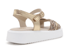 Beberlis Sandaal 24447 - Goud - hatshoe