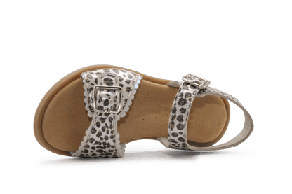 Beberlis Sandaal Meisjes 24471 - Panter - hatshoe