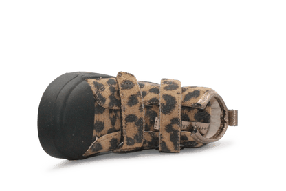 Shoesme Klittneband Schoenen SH25W045 - Leopard Brown - hatshoe